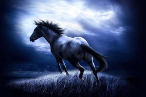 Dark Horse262667991 300x200 - Dark Horse - horse, Dark, Chameleon